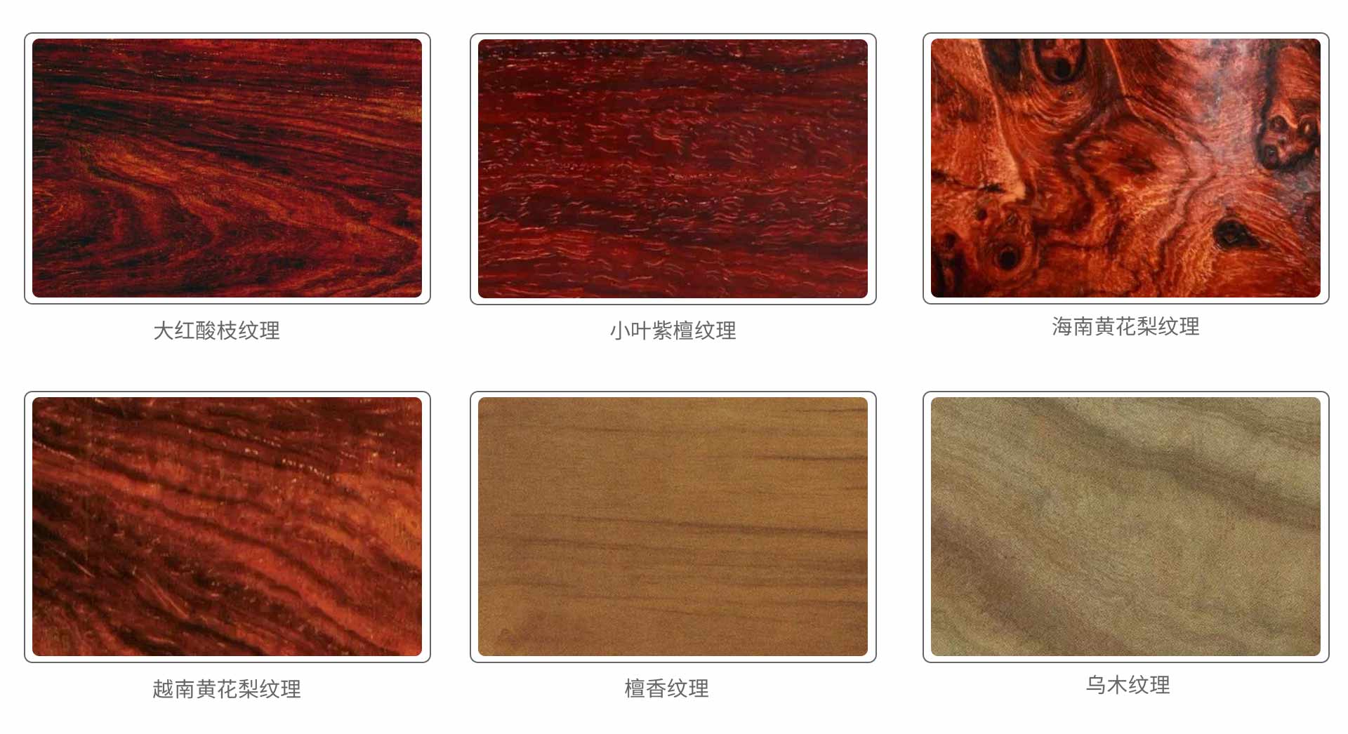 紅木種類的劃分