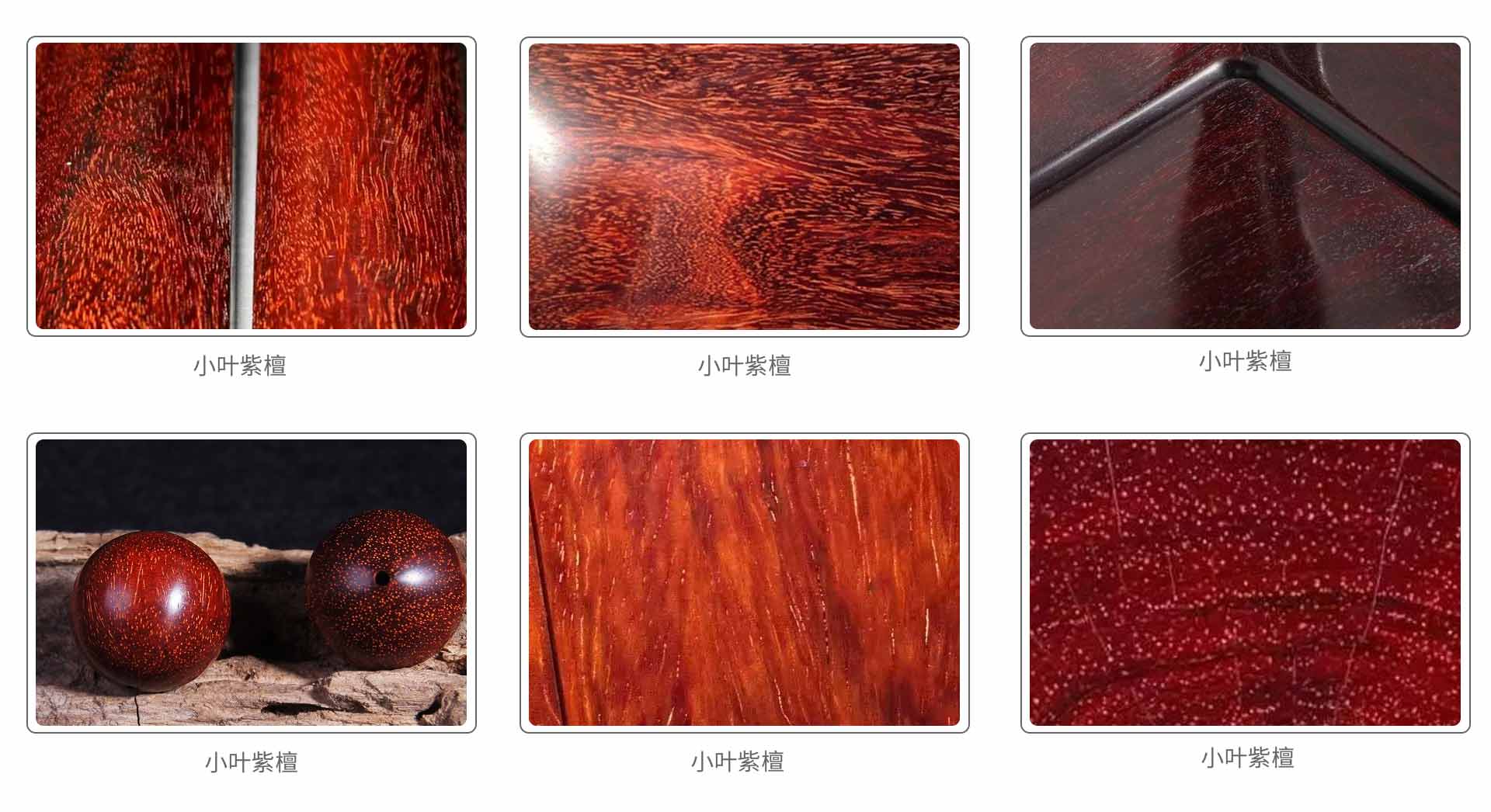 小葉紫檀 小葉紫檀